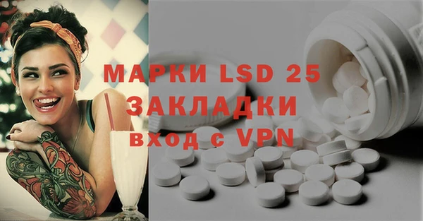 винт Аркадак