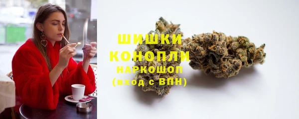 шишки Арсеньев