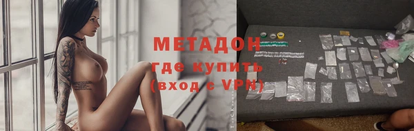 шишки Арсеньев