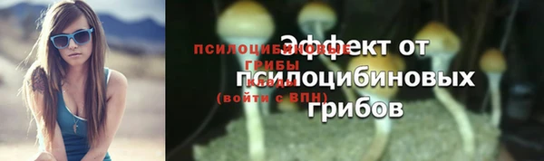 шишки Арсеньев