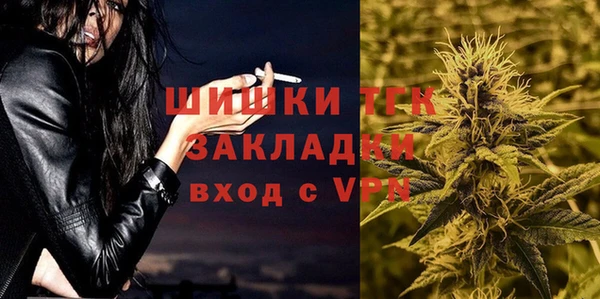 шишки Арсеньев