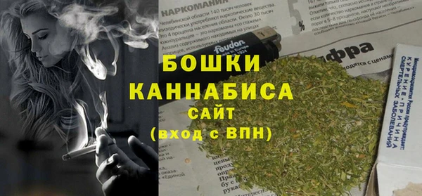 шишки Арсеньев