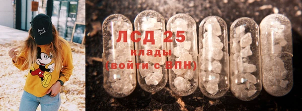 шишки Арсеньев