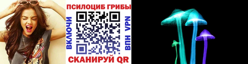 Псилоцибиновые грибы Psilocybine cubensis  Мелеуз 